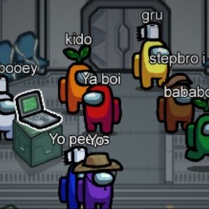 Meet your Posher, Riley